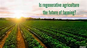 regenerative agriculture
